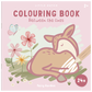 Little Dutch Colouring Book - Fairy Garden