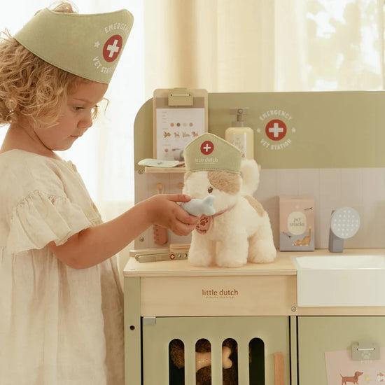 Little Dutch Veterinary Practice Set